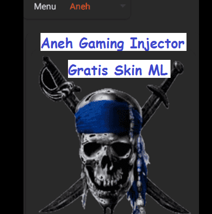 Aneh Gaming Injector