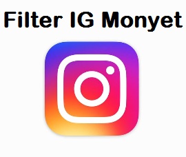 filter instagram monyet