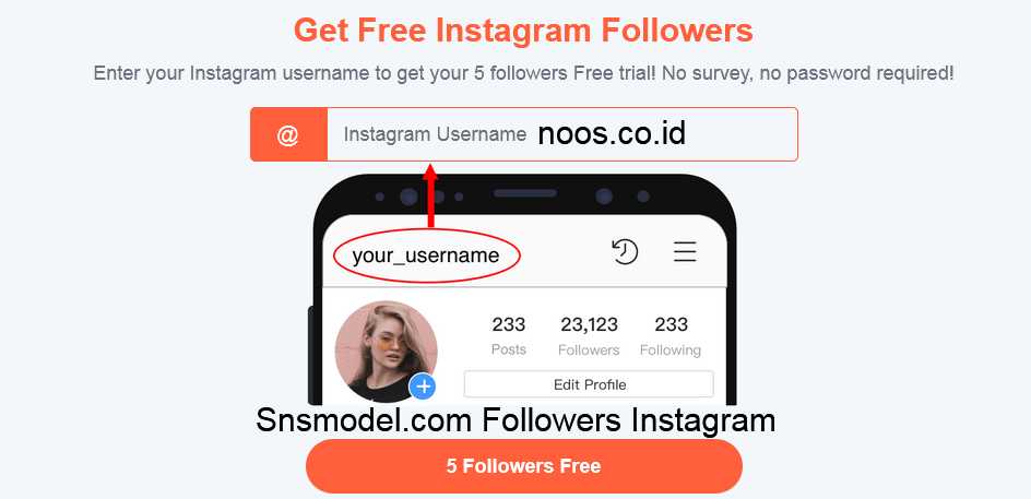 Snsmodel.com Followers Instagram TikTok Gratis 2022