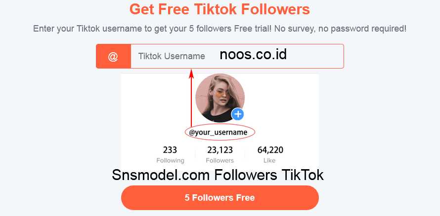Snsmodel.com Followers Instagram TikTok Gratis 2022